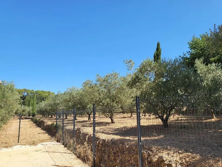 Maison Jardin Privatif Au Coeur D'Une Oliveraie Roquevaire France